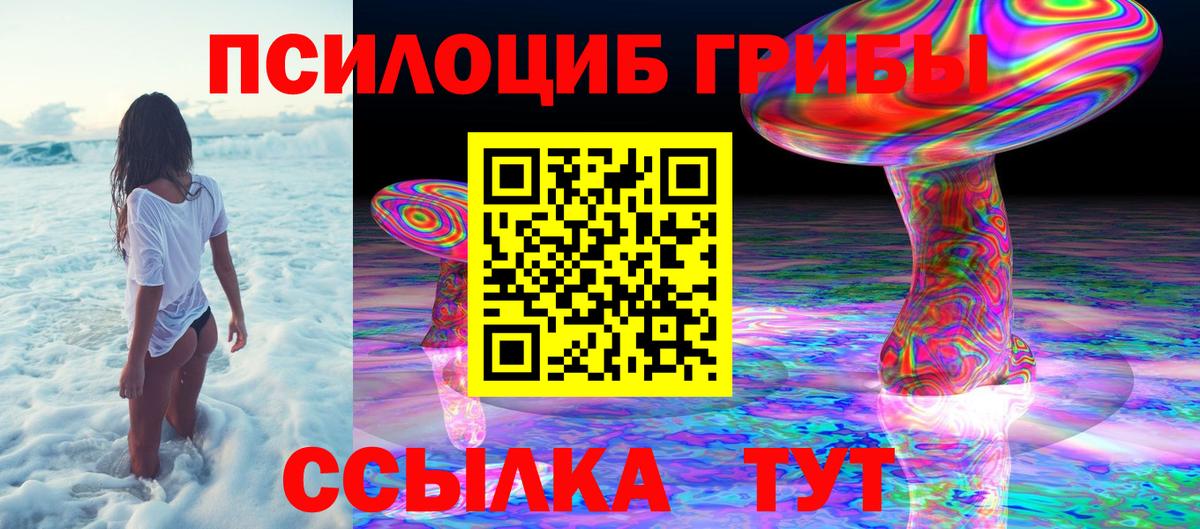 Ивантеевка  Псилоцибиновые грибы Magic Shrooms  Галлюциногенные грибы мицелий  Вход с VPN 