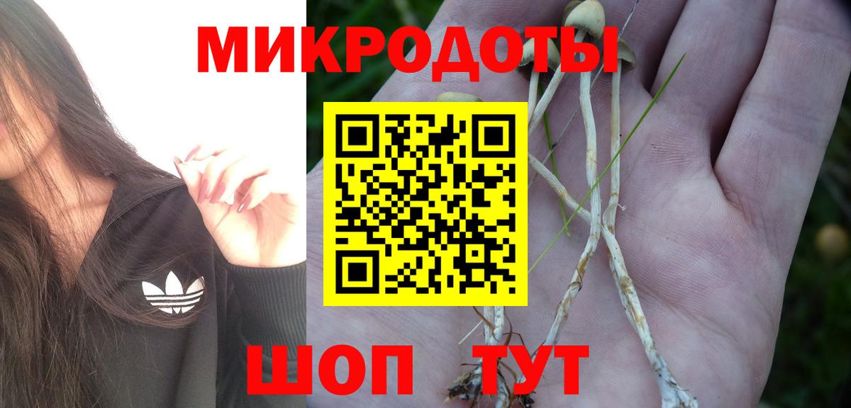 Псилоцибиновые грибы GOLDEN TEACHER Ивантеевка
