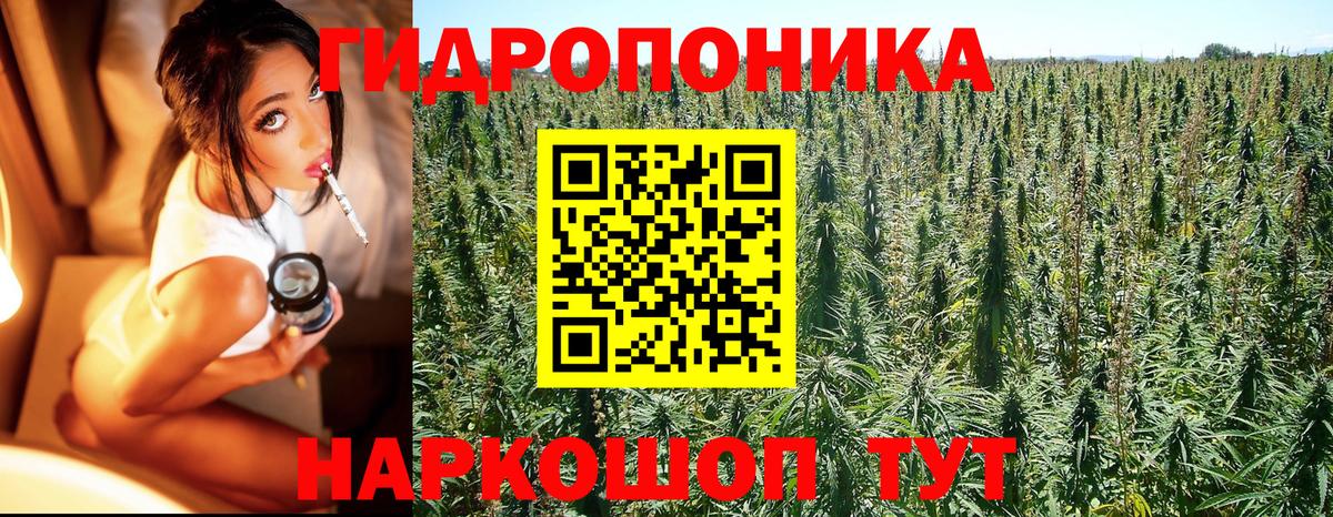Шишки марихуана LSD WEED  Вход с VPN  Ивантеевка  Канабис LSD WEED  Каннабис SATIVA & INDICA 